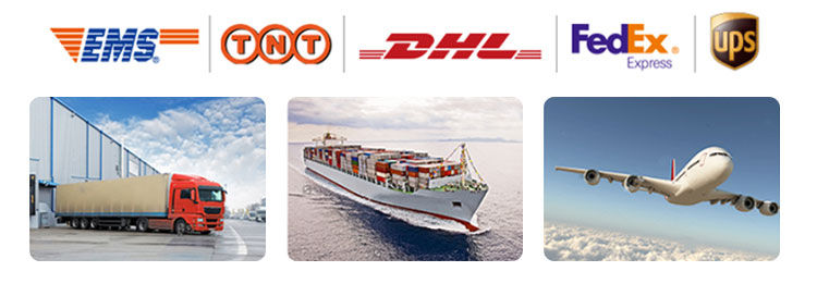 Qc11k-6x2500 Metal Guillotine Shear Guillotine Shearing Machine Qc11k-6x2500 מכונת גזירת גיליוטינה מתכת